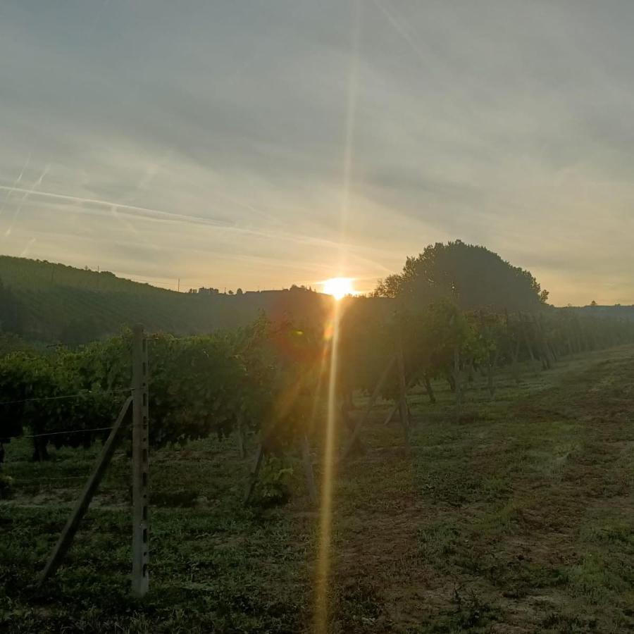 1929 Wine Food Relax Agriturismo Acqui Terme Exterior foto